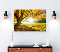 obraz jeseň pani bohatá babie leto